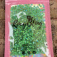Fluorescence Ab Glow in Dark Glass Rhinestones (1,440 Pieces) ss12 (last 2)