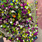 Neon Resin Rhinestone Mix 30gram