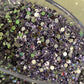 Lavender Resins Rhinestones