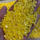 Yellow ab Pearl (500 Pieces,  5mm Pearls)